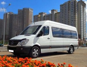 Перевозки пассажирские Александровск Москва билеты