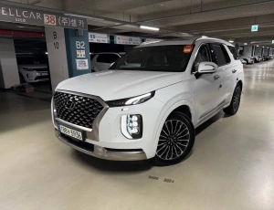 Аренда авто с водителем Hyundai palisade