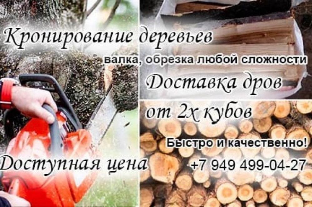 Дрова твёрдых и пород