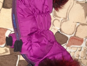 Зимний комбинезон , Йоркширский терьер