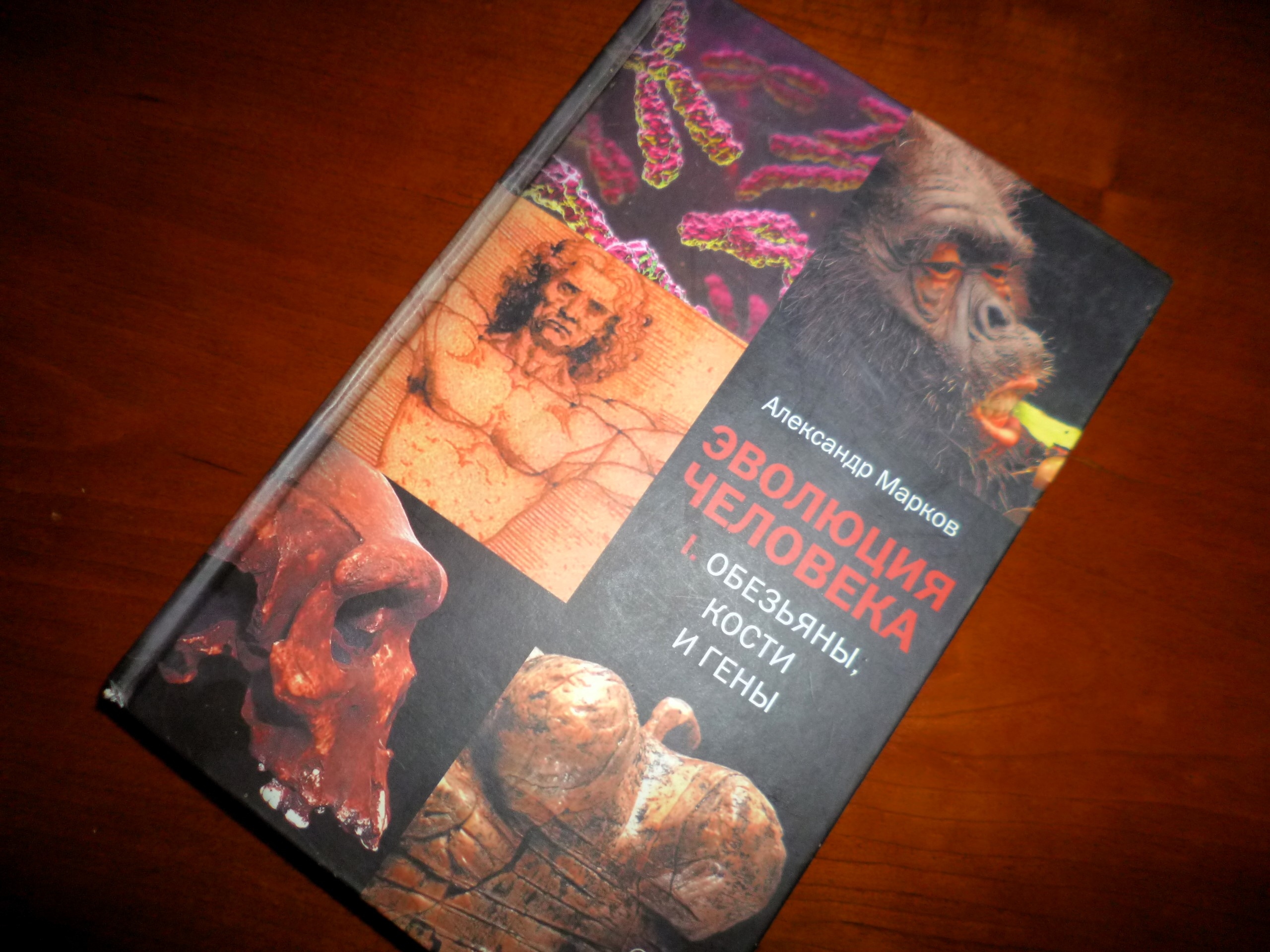 Книга Александра Маркова