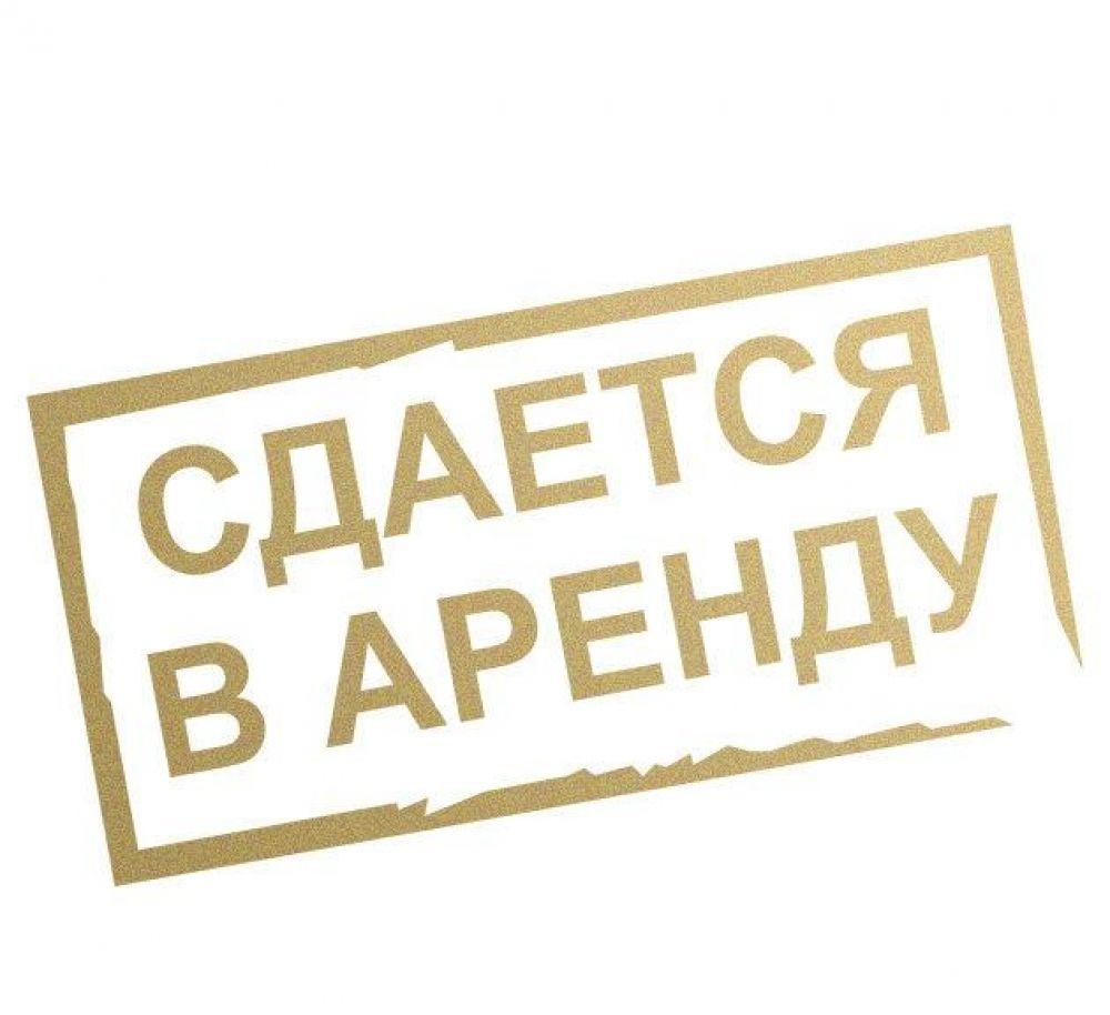 долгосрочная аренда комсомолец