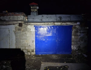 Продажа гаража после капитального ремонта в самом центре города а - возле парка Щербакова, Донецк, ДНР