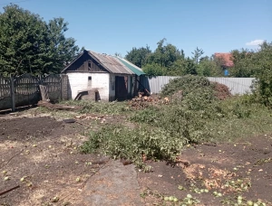 Вывоз листвы и веток